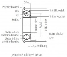 Schma - jednoad kulikov loisko