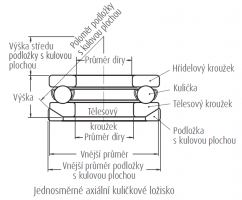 Schma axiln kulikov loisko